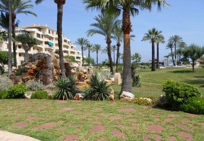 Apartamento en Denia - PLAYA GRANDE Apartamento en Denia - PLAYA GRANDE