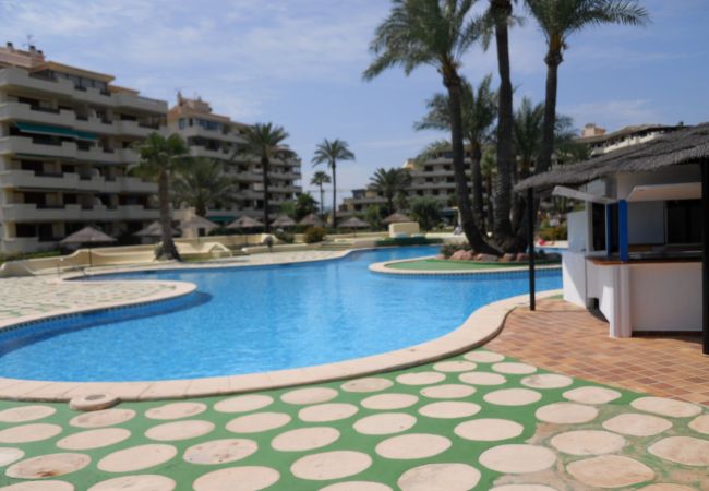 Apartamento en Denia - PLAYA GRANDE Apartamento en Denia - PLAYA GRANDE