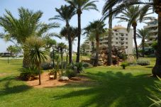 Apartamento en Denia - PLAYA GRANDE