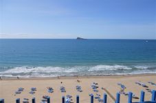 Apartamento en Benidorm - LAS PALMERAS (2 DORMITORIOS)