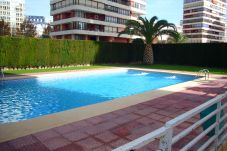 Apartamento en Benidorm - CAROLINA (1 DORMITORIO)