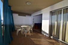 Apartamento en Benidorm - CAROLINA (1 DORMITORIO)