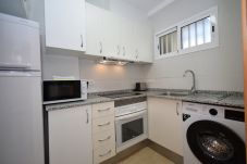 Apartamento en Benidorm - CAROLINA (1 DORMITORIO)