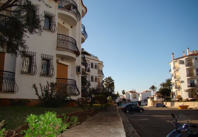 Estudio en Denia - EL RETIRO Estudio en Denia - EL RETIRO