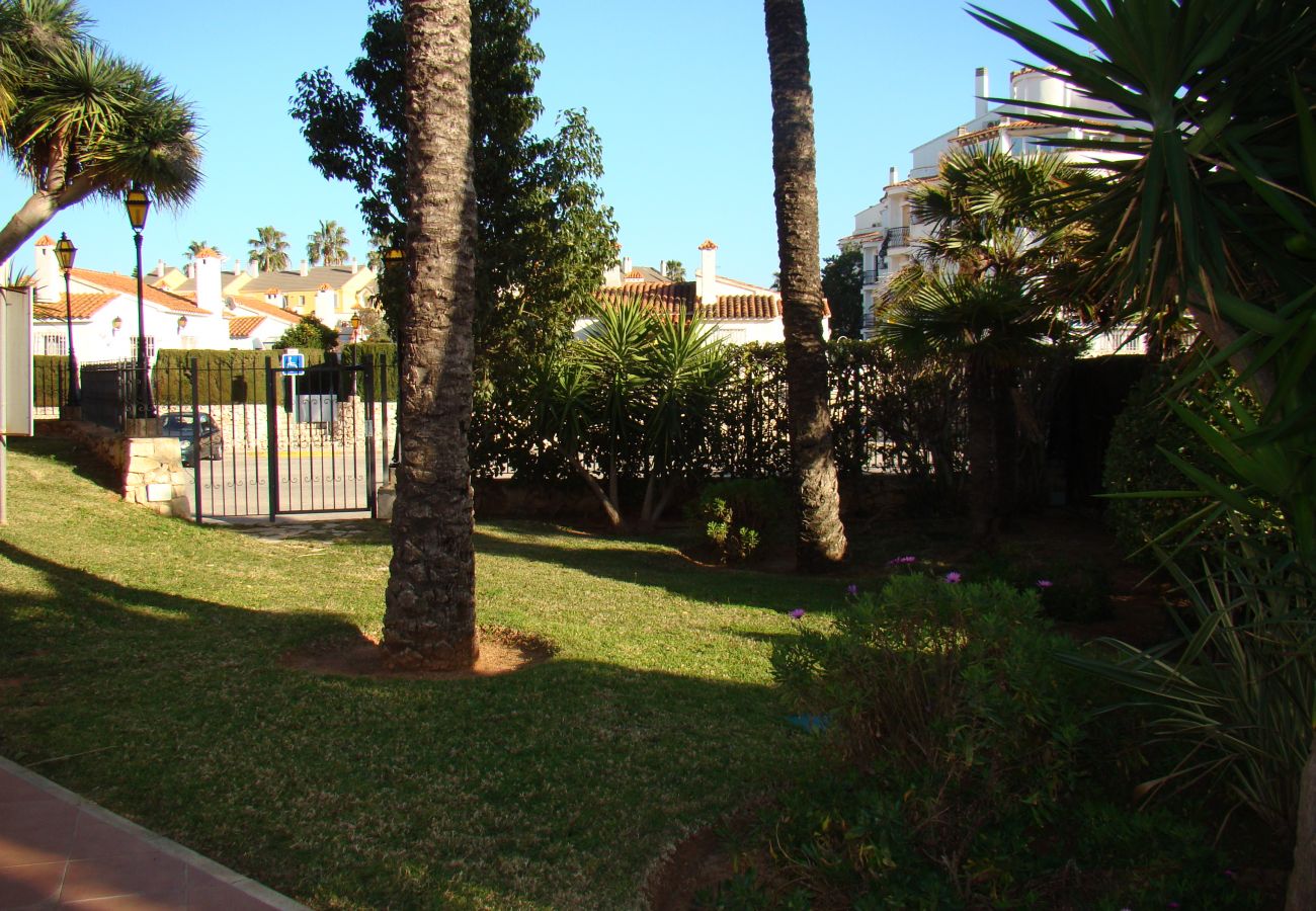 Estudio en Denia - EL RETIRO Estudio en Denia - EL RETIRO