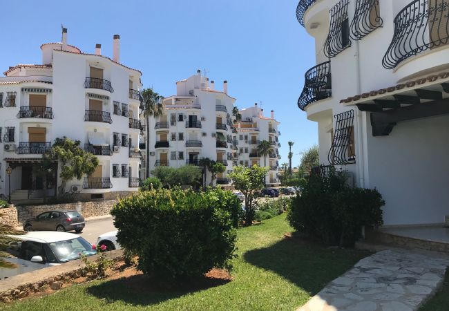 Estudio en Denia - EL RETIRO Estudio en Denia - EL RETIRO