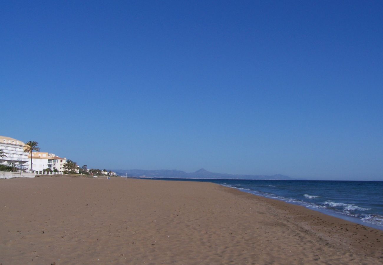 Estudio en Denia - JAZMINES