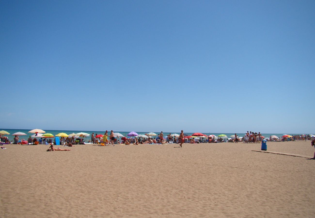 Estudio en Denia - JAZMINES