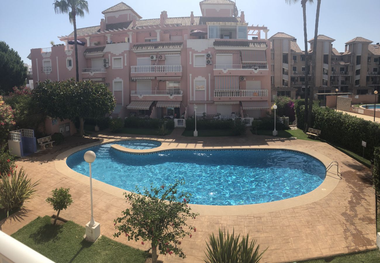Estudio en Denia - JAZMINES