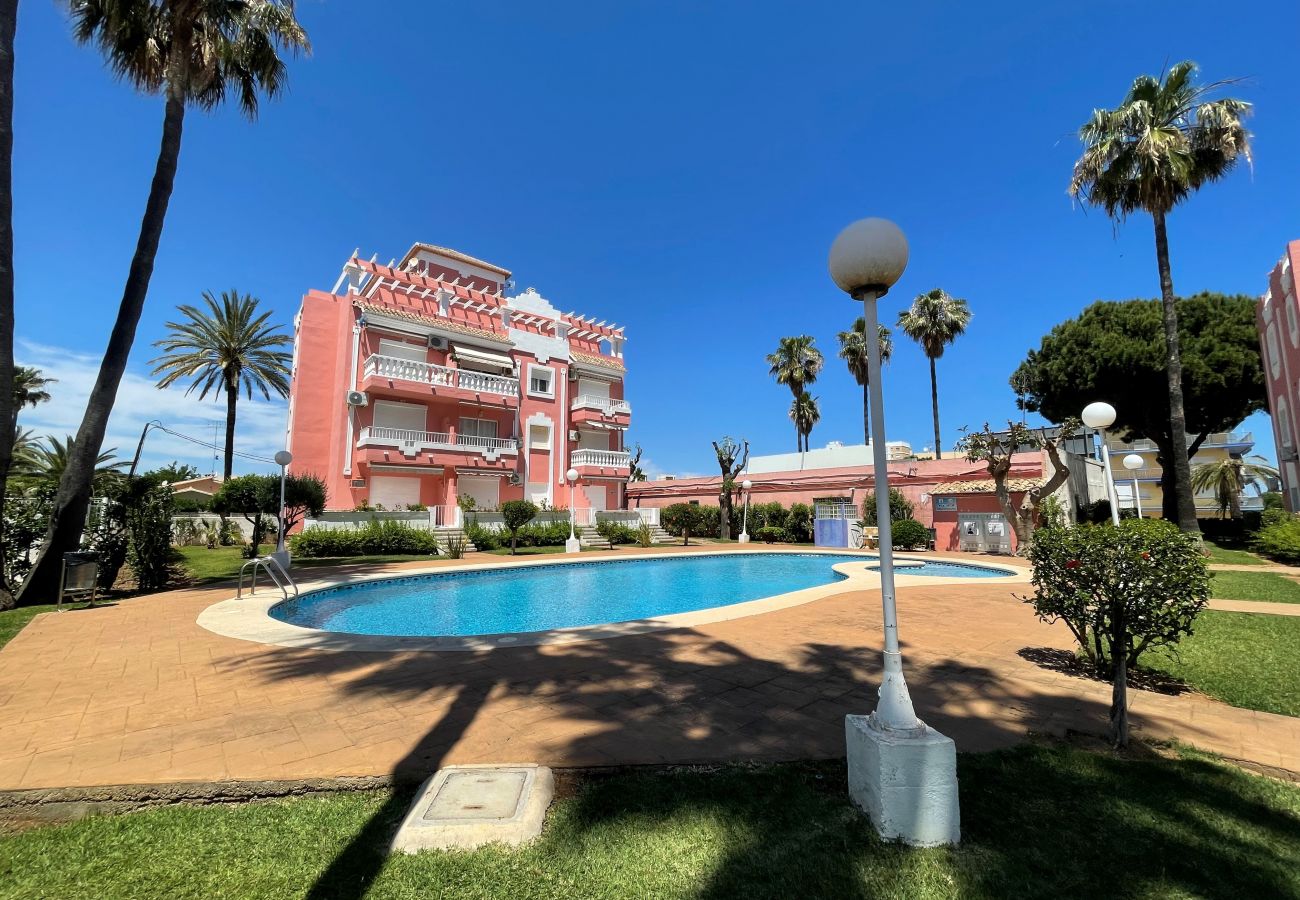 Estudio en Denia - JAZMINES