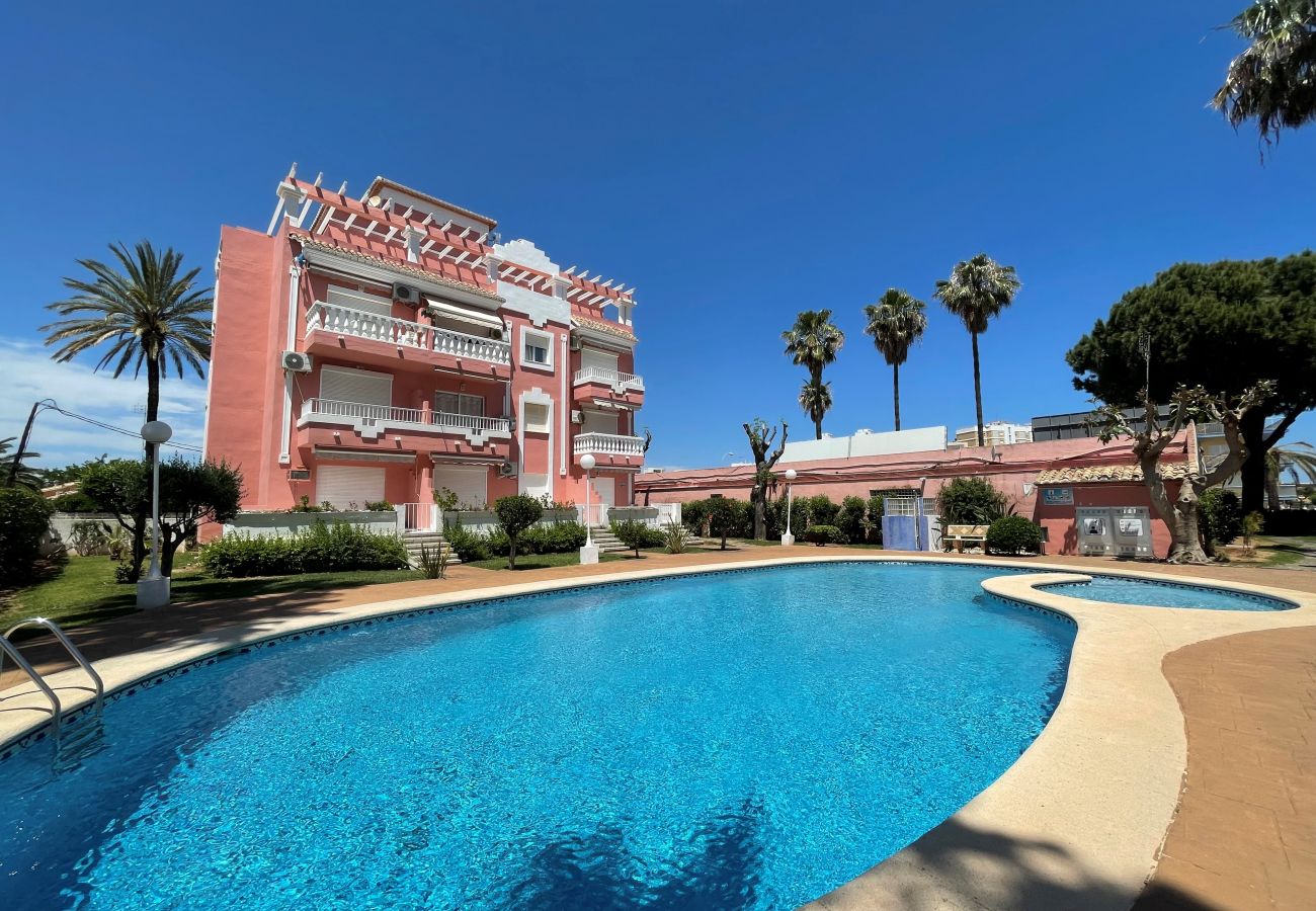 Estudio en Denia - JAZMINES