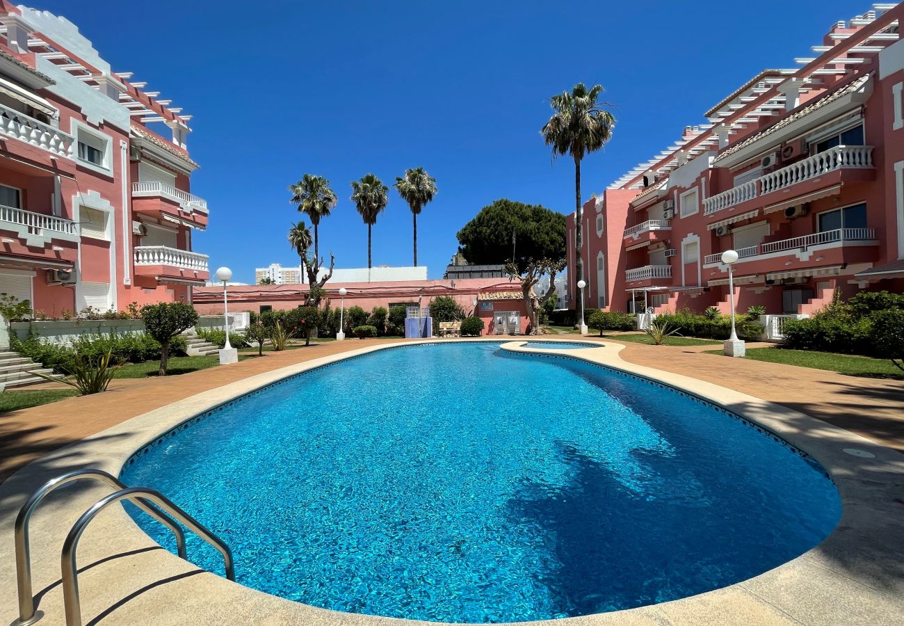Estudio en Denia - JAZMINES