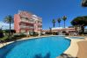 Estudio en Denia - JAZMINES Estudio en Denia - JAZMINES