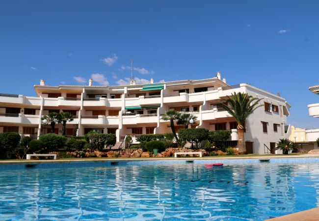 apartamentos laguna beach apartamentos en denia laguna beach apartamentos laguna beach apartamentos en denia laguna beach
