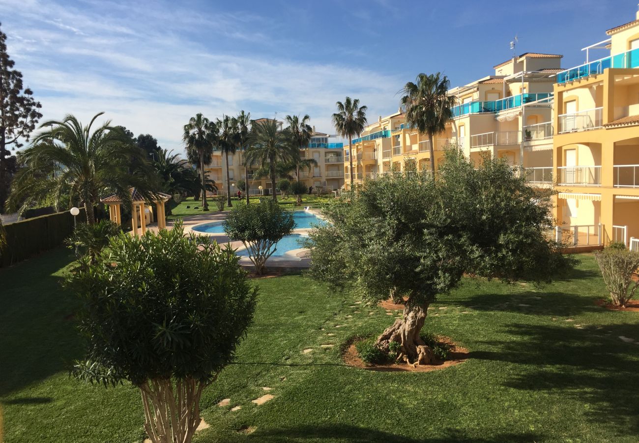 Apartamento en Denia - LA RIVIERA