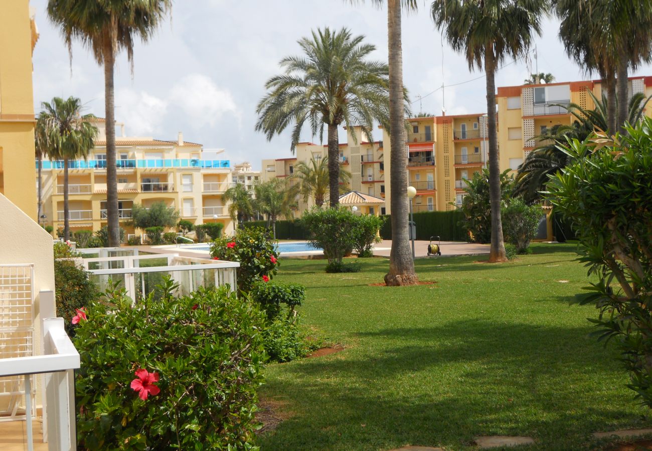 Apartamento en Denia - LA RIVIERA