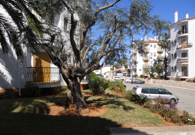 Estudio en Denia - EL RETIRO Estudio en Denia - EL RETIRO