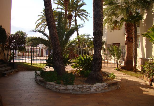 Estudio en Denia - EL RETIRO Estudio en Denia - EL RETIRO