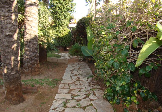 Estudio en Denia - EL RETIRO Estudio en Denia - EL RETIRO