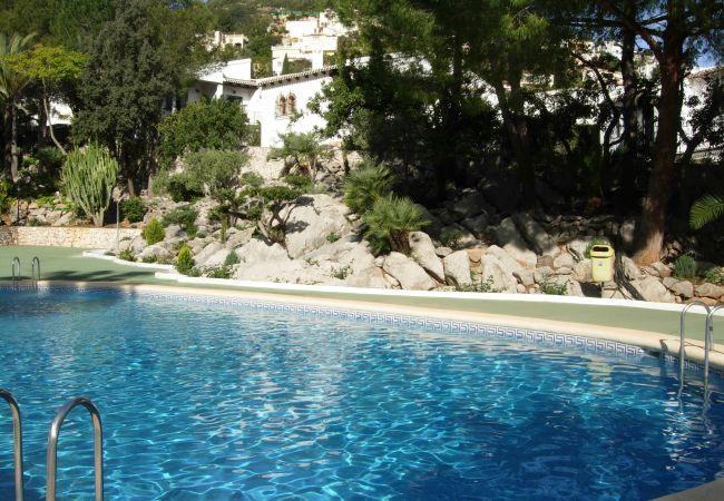 serviden - la sella - buganvilla serviden, alquiler, la sella, deniaplaya.com, vacaciones rurales, hotel con encanto, senderismo, tenis, sakya, jardin albarda