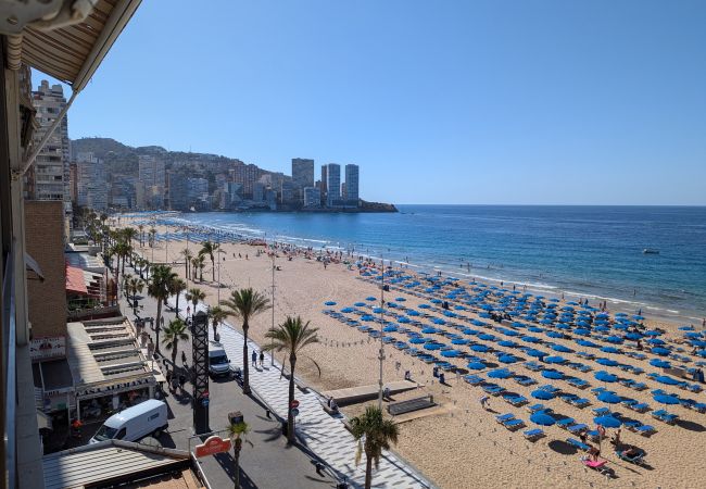Apartamento en Benidorm - LOS GEMELOS     (2 DORMITORIOS) Apartamento en Benidorm - LOS GEMELOS     (2 DORMITORIOS)