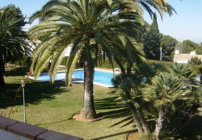 Bungalow en Pedreguer - LA SELLA - ALMENDROS Bungalow en Pedreguer - LA SELLA - ALMENDROS