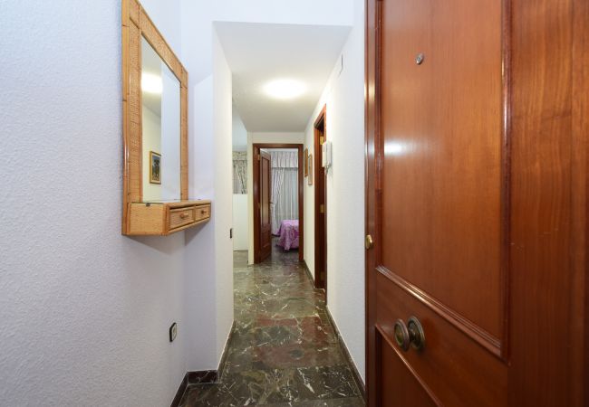 Apartamento en Benidorm - BENIBEACH (1 DORMITORIO) Apartamento en Benidorm - BENIBEACH (1 DORMITORIO)