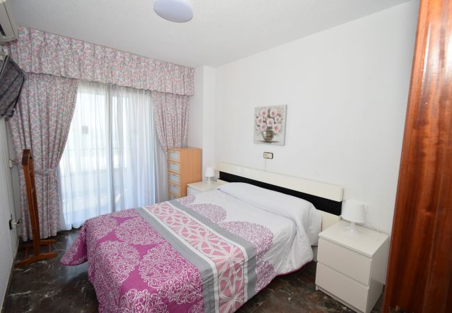 Apartamento en Benidorm - BENIBEACH (1 DORMITORIO) Apartamento en Benidorm - BENIBEACH (1 DORMITORIO)