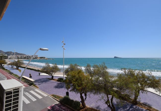 Apartamento en Benidorm - BENIBEACH (1 DORMITORIO) Apartamento en Benidorm - BENIBEACH (1 DORMITORIO)