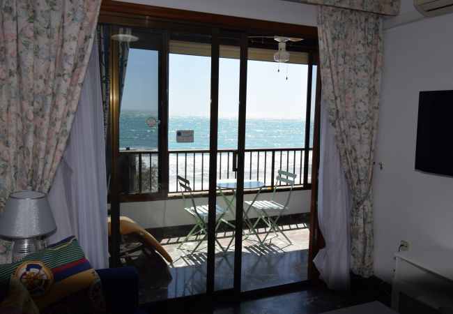 Apartamento en Benidorm - BENIBEACH (1 DORMITORIO) Apartamento en Benidorm - BENIBEACH (1 DORMITORIO)
