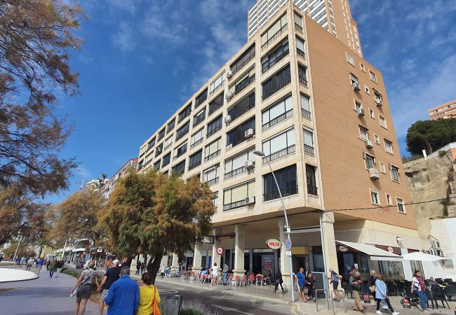 Apartamento en Benidorm - BENIBEACH (1 DORMITORIO) Apartamento en Benidorm - BENIBEACH (1 DORMITORIO)