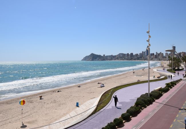 Apartamento en Benidorm - BENIBEACH (1 DORMITORIO) Apartamento en Benidorm - BENIBEACH (1 DORMITORIO)