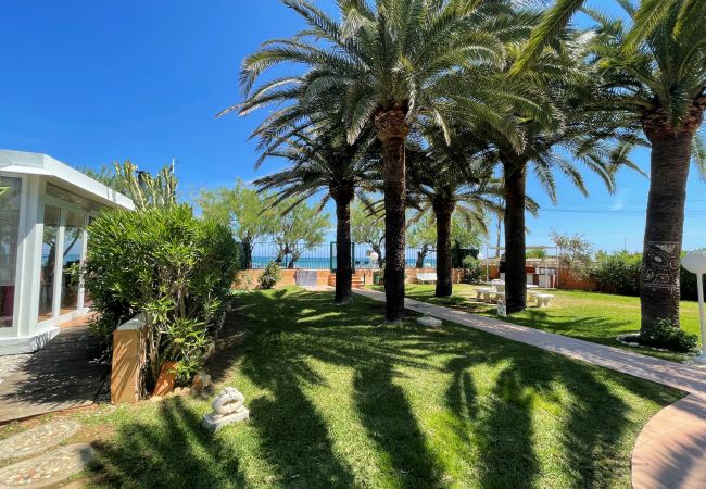 Apartamento en Denia - TETOM BAJO EN PRIMERA LINEA DE PLAYA Apartamento en Denia - TETOM BAJO EN PRIMERA LINEA DE PLAYA