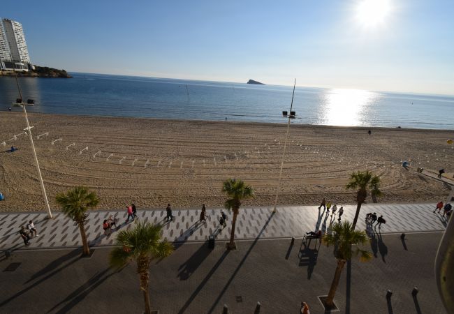  in Benidorm - CAROLINA (1 DORMITORIO)