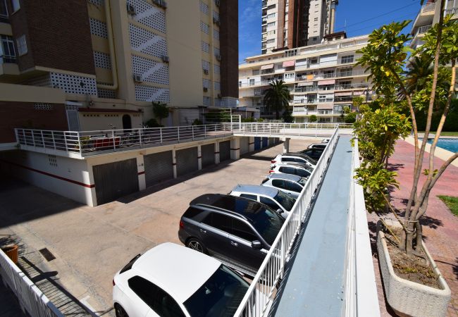 Ferienwohnung in Benidorm - CAROLINA (1 DORMITORIO) Ferienwohnung in Benidorm - CAROLINA (1 DORMITORIO)