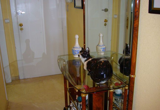 Studio in Benidorm - SANTA MARGARITA (ESTUDIO) Studio in Benidorm - SANTA MARGARITA (ESTUDIO)