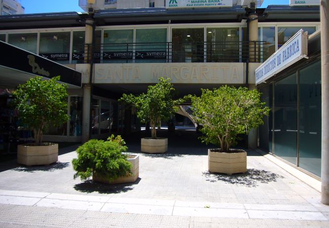 Studio in Benidorm - SANTA MARGARITA (ESTUDIO) Studio in Benidorm - SANTA MARGARITA (ESTUDIO)