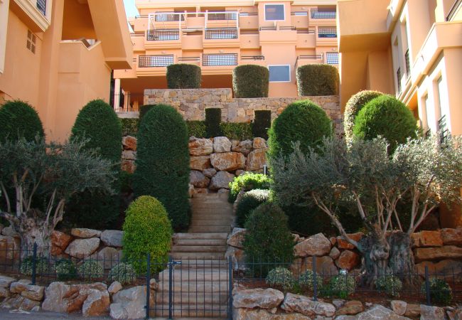 Ferienwohnung in Pedreguer - LA SELLA - JACARANDA Ferienwohnung in Pedreguer - LA SELLA - JACARANDA