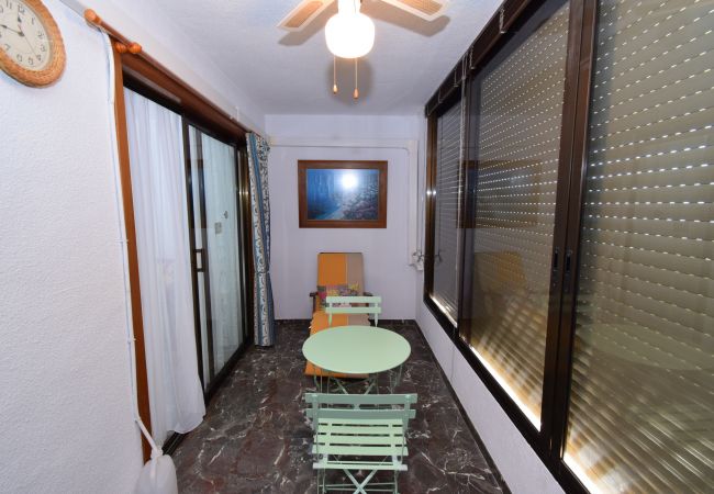 Ferienwohnung in Benidorm - BENIBEACH (1 DORMITORIO) Ferienwohnung in Benidorm - BENIBEACH (1 DORMITORIO)