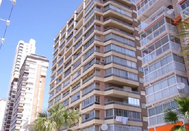 Apartment in Benidorm - CAROLINA (1 DORMITORIO) Apartment in Benidorm - CAROLINA (1 DORMITORIO)