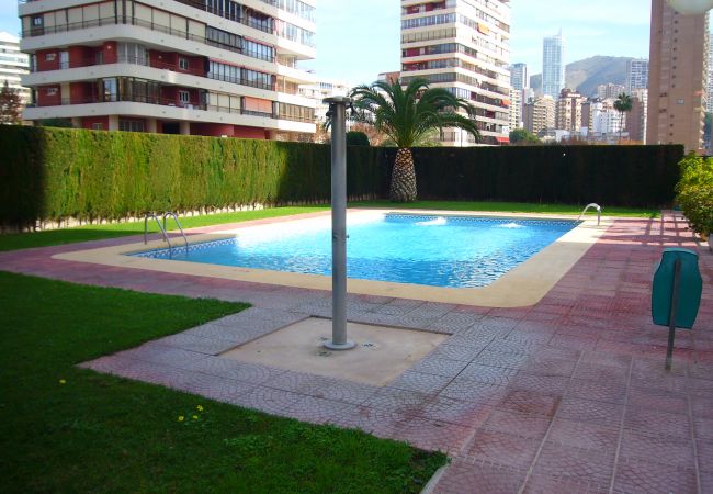 Apartment in Benidorm - CAROLINA (1 DORMITORIO) Apartment in Benidorm - CAROLINA (1 DORMITORIO)