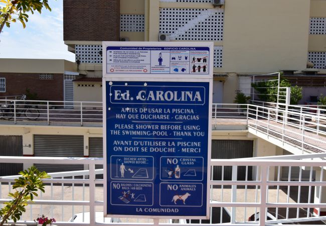 Apartment in Benidorm - CAROLINA (1 DORMITORIO) Apartment in Benidorm - CAROLINA (1 DORMITORIO)