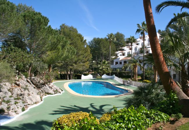 Apartment in Pedreguer - LA SELLA - BUGANVILLA Apartment in Pedreguer - LA SELLA - BUGANVILLA