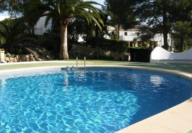 Apartment in Pedreguer - LA SELLA - BUGANVILLA Apartment in Pedreguer - LA SELLA - BUGANVILLA