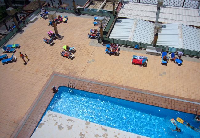 Studio in Benidorm - SANTA MARGARITA (ESTUDIO) Studio in Benidorm - SANTA MARGARITA (ESTUDIO)