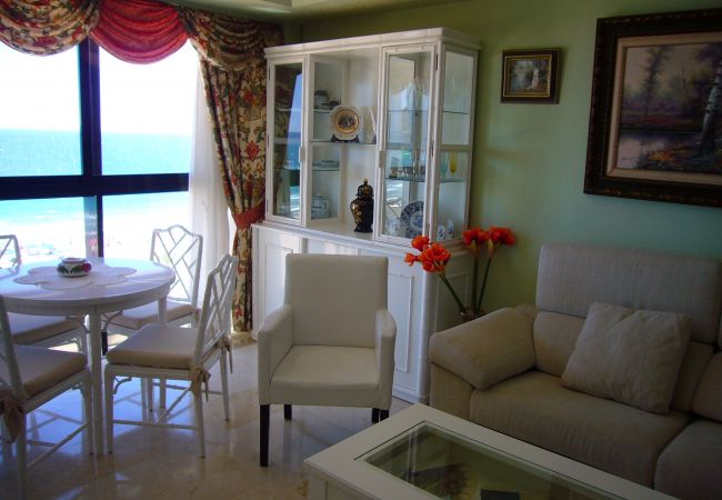 Studio in Benidorm - SANTA MARGARITA (ESTUDIO) Studio in Benidorm - SANTA MARGARITA (ESTUDIO)