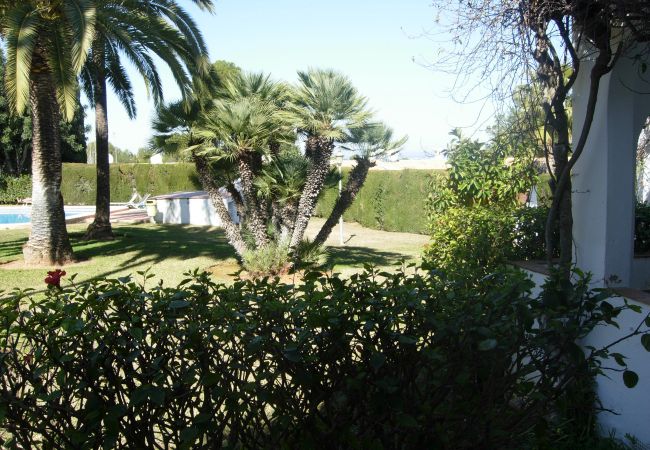 Apartment in Pedreguer - LA SELLA - ALMENDROS Apartment in Pedreguer - LA SELLA - ALMENDROS