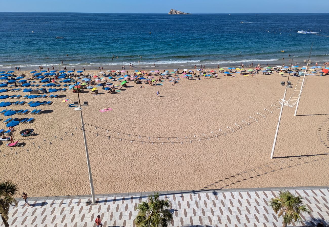 Apartment in Benidorm - LOS GEMELOS     (2 DORMITORIOS) Apartment in Benidorm - LOS GEMELOS     (2 DORMITORIOS)