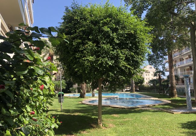 Apartment in Denia - DIANIUM Apartment in Denia - DIANIUM