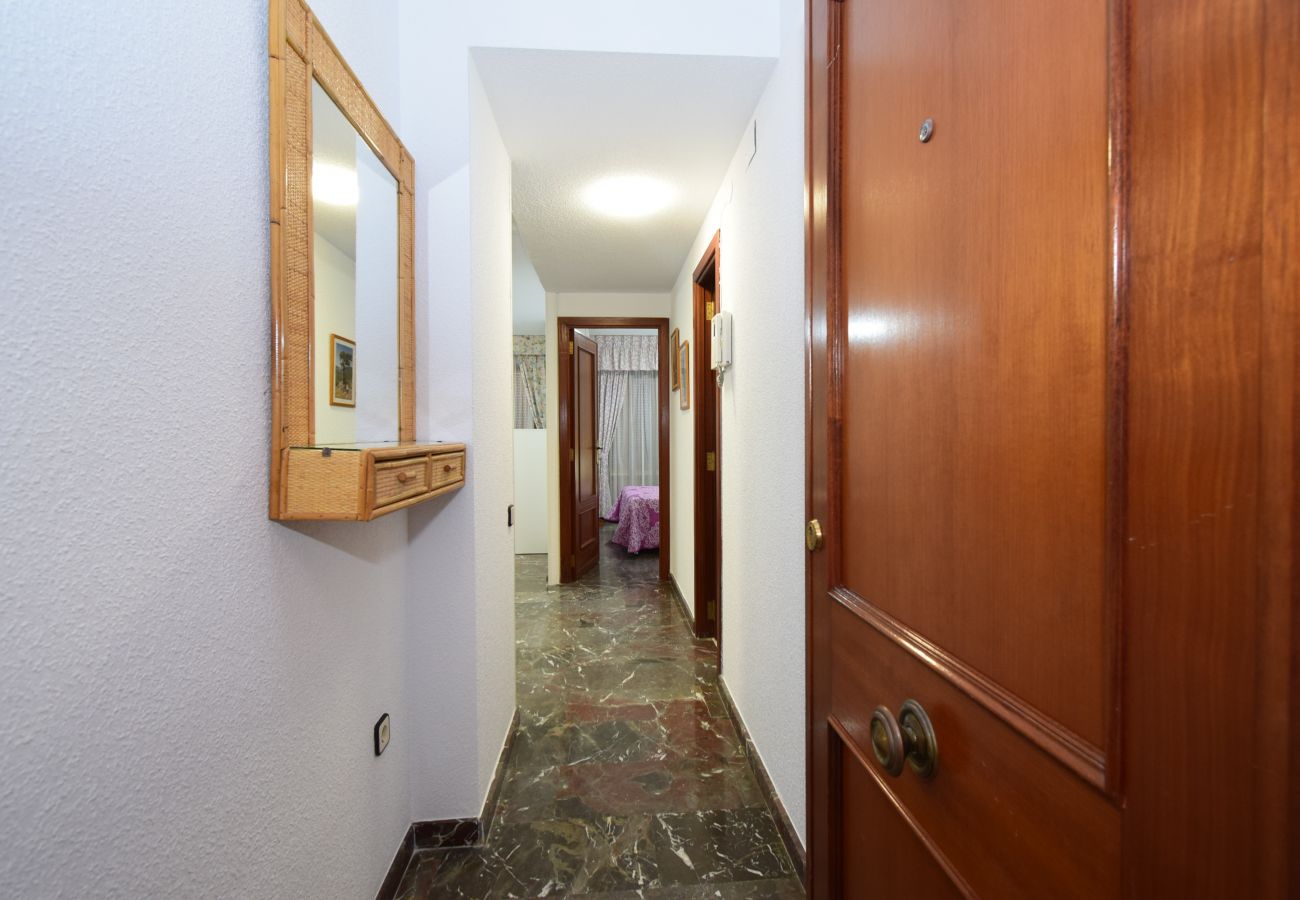 Apartment in Benidorm - BENIBEACH (1 DORMITORIO) Apartment in Benidorm - BENIBEACH (1 DORMITORIO)
